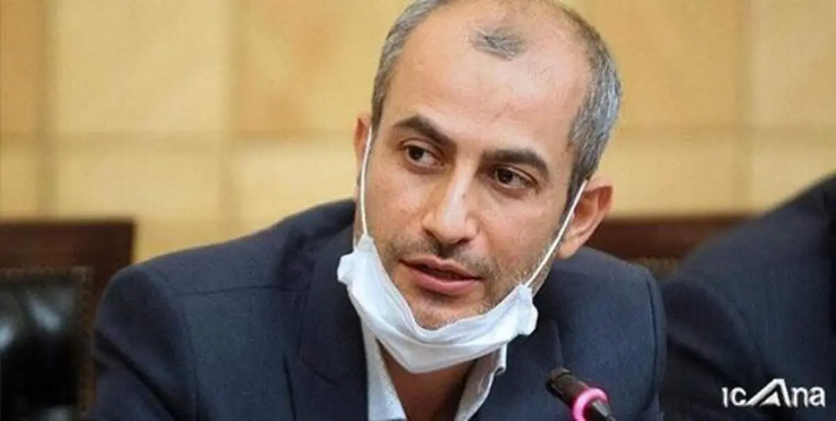 جدال بین قالیبافی‌ها و پایداری‌ها در مجلس