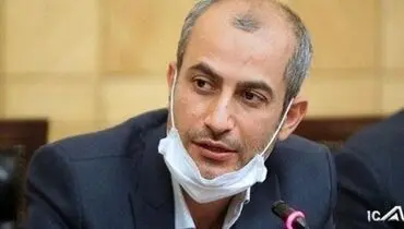 جدال بین قالیبافی‌ها و پایداری‌ها در مجلس