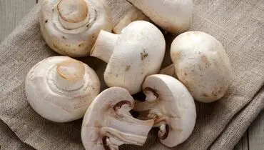 قارچ بخورید تا سرطان نگیرید