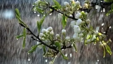 هواشناسی ایران ۱۴۰۰/۰۲/۴|بارش باران و وزش باد شدید ۵ روزه در ۱۹ استان