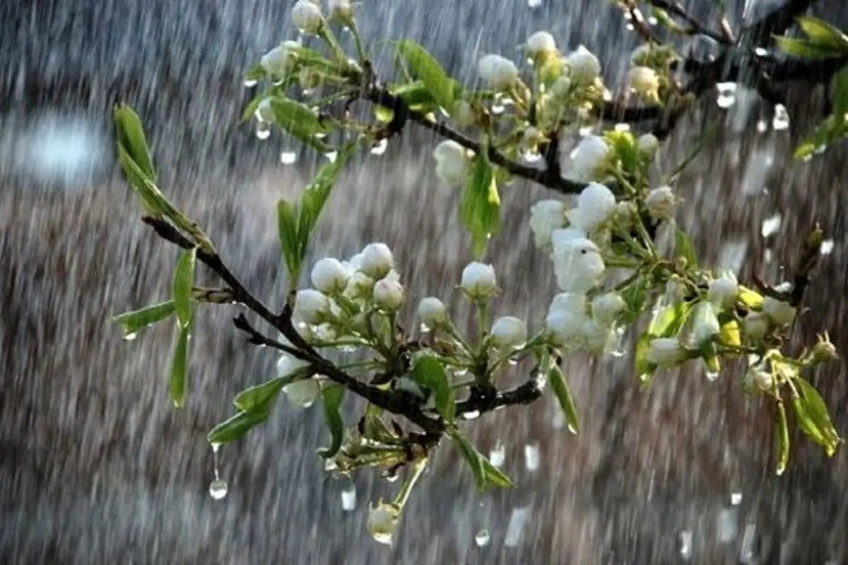 هواشناسی ایران ۱۴۰۰/۰۲/۴|بارش باران و وزش باد شدید ۵ روزه در ۱۹ استان