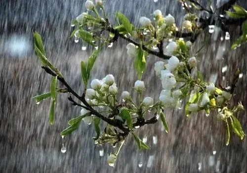 هوای تهران کی بارانی می شود؟