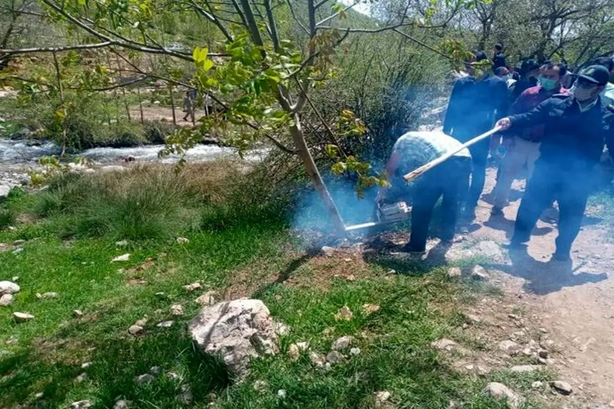 ماجرای درگیری مسلحانه در کهمان چه بود /بازداشت رئیس منابع طبیعی سلسله و ۱۳ نفر از اهالی + فیلم و عکس