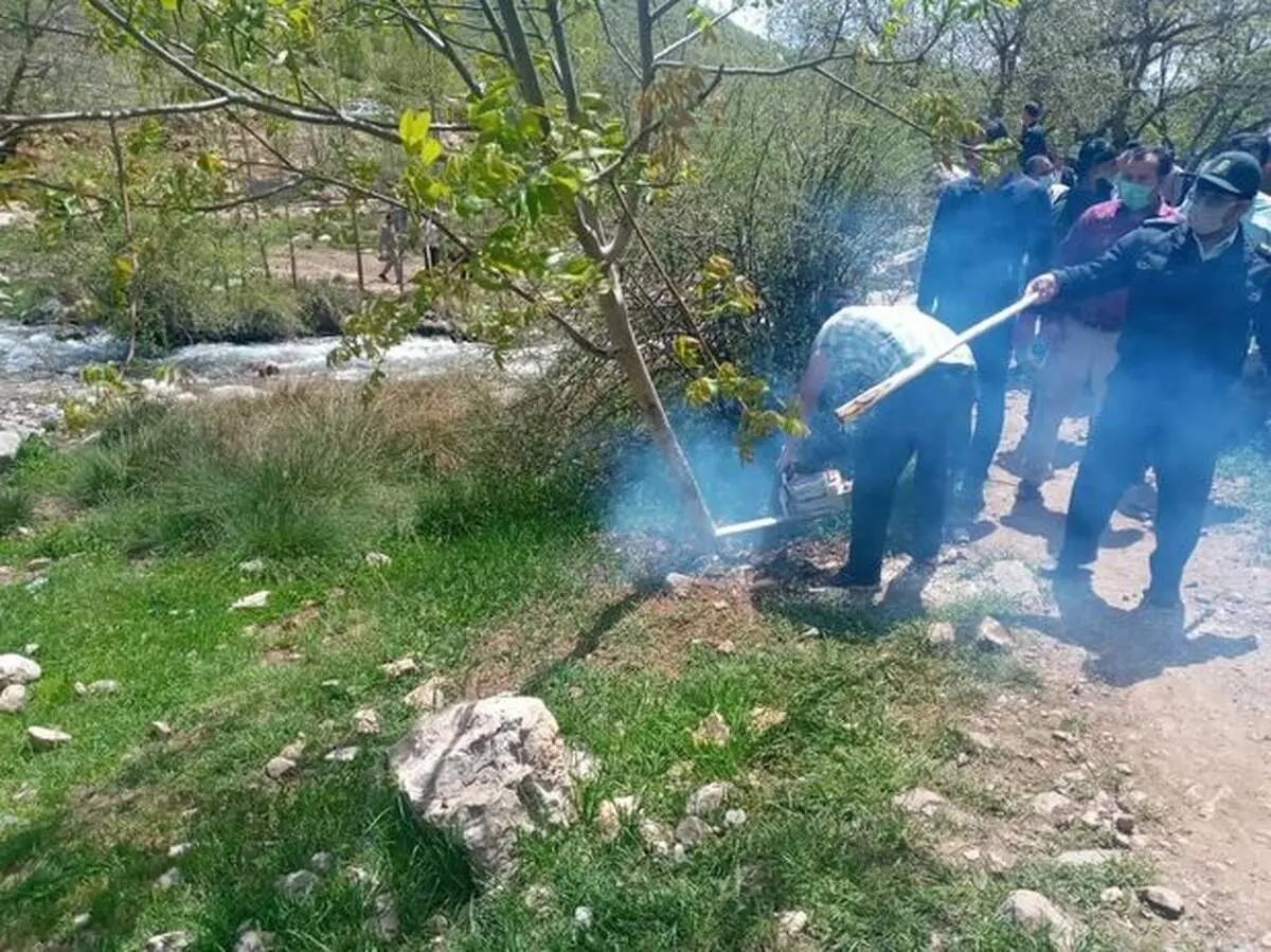 ماجرای درگیری مسلحانه در کهمان چه بود /بازداشت رئیس منابع طبیعی سلسله و ۱۳ نفر از اهالی + فیلم و عکس