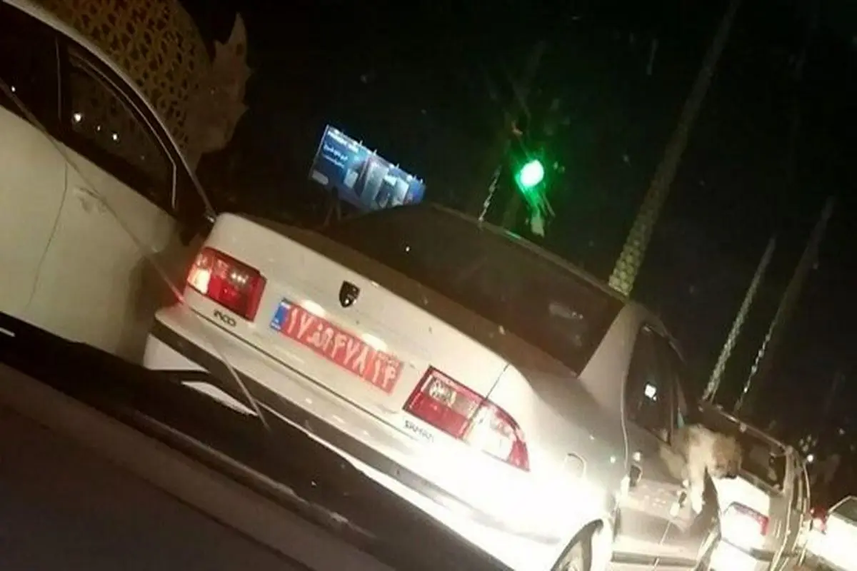 برکناری یک مدیر دولتی به دلیل سگ‌گردانی با خودروی پلاک قرمز+ فیلم