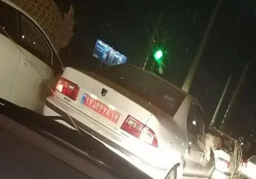  تحمیل هزار مصیبت به جامعه ایرانی با "سگ‌گردانی" 