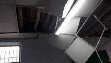خوش شانس‌ترین مرد هندی سال اینگونه از مرگ فرار کرد+فیلم