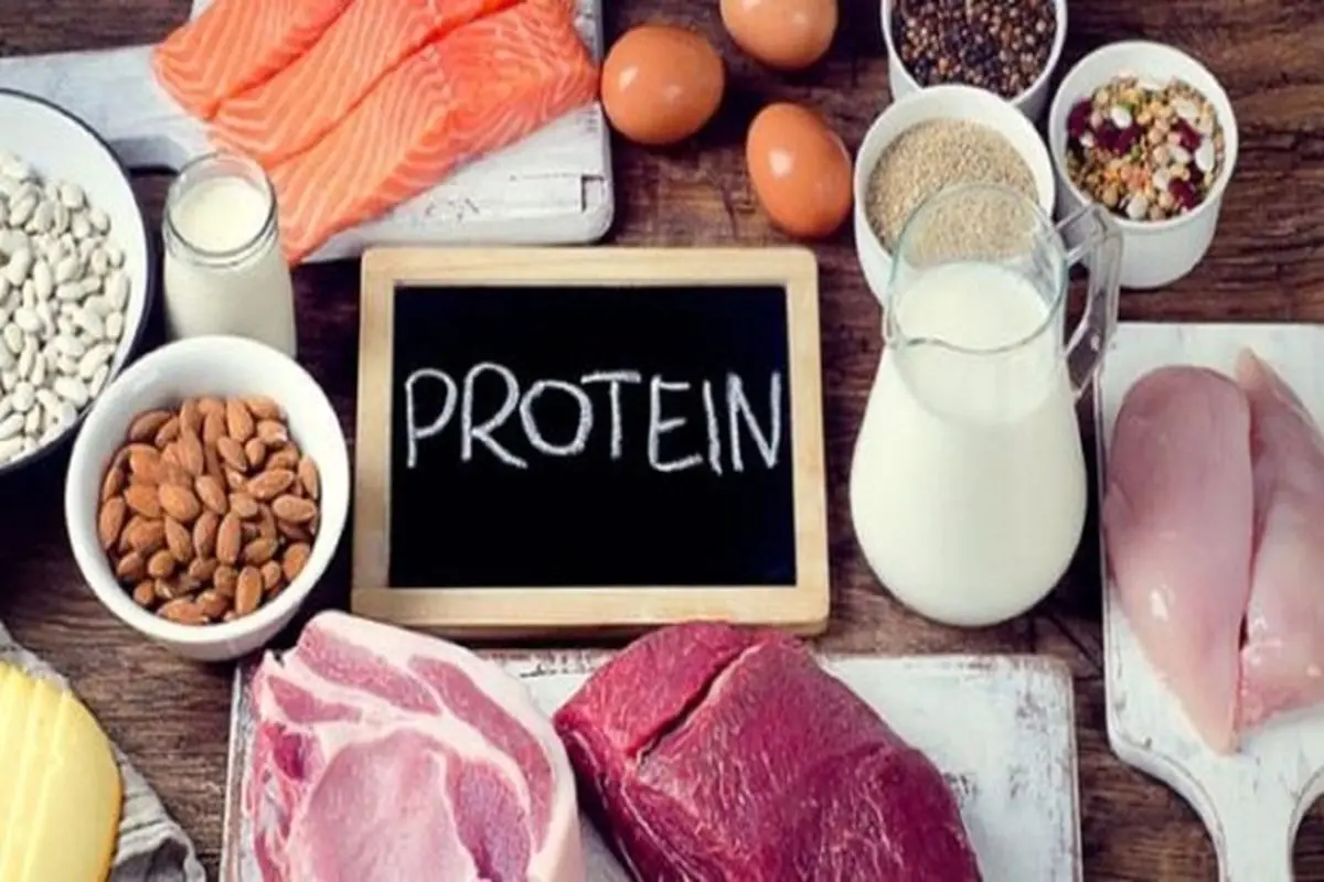 لزوم اضافه کردن پروتئین به رژیم غذایی