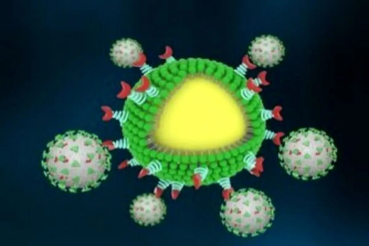 کشف مهم دانشمندان درباره کرونا