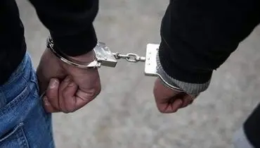 ۱۶ نفر در پارتی مختلطی اطراف گلمکان خراسان رضوی دستگیر شدند