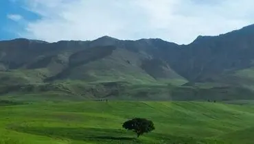 طبیعت زاگرس مرکزی +‌عکس