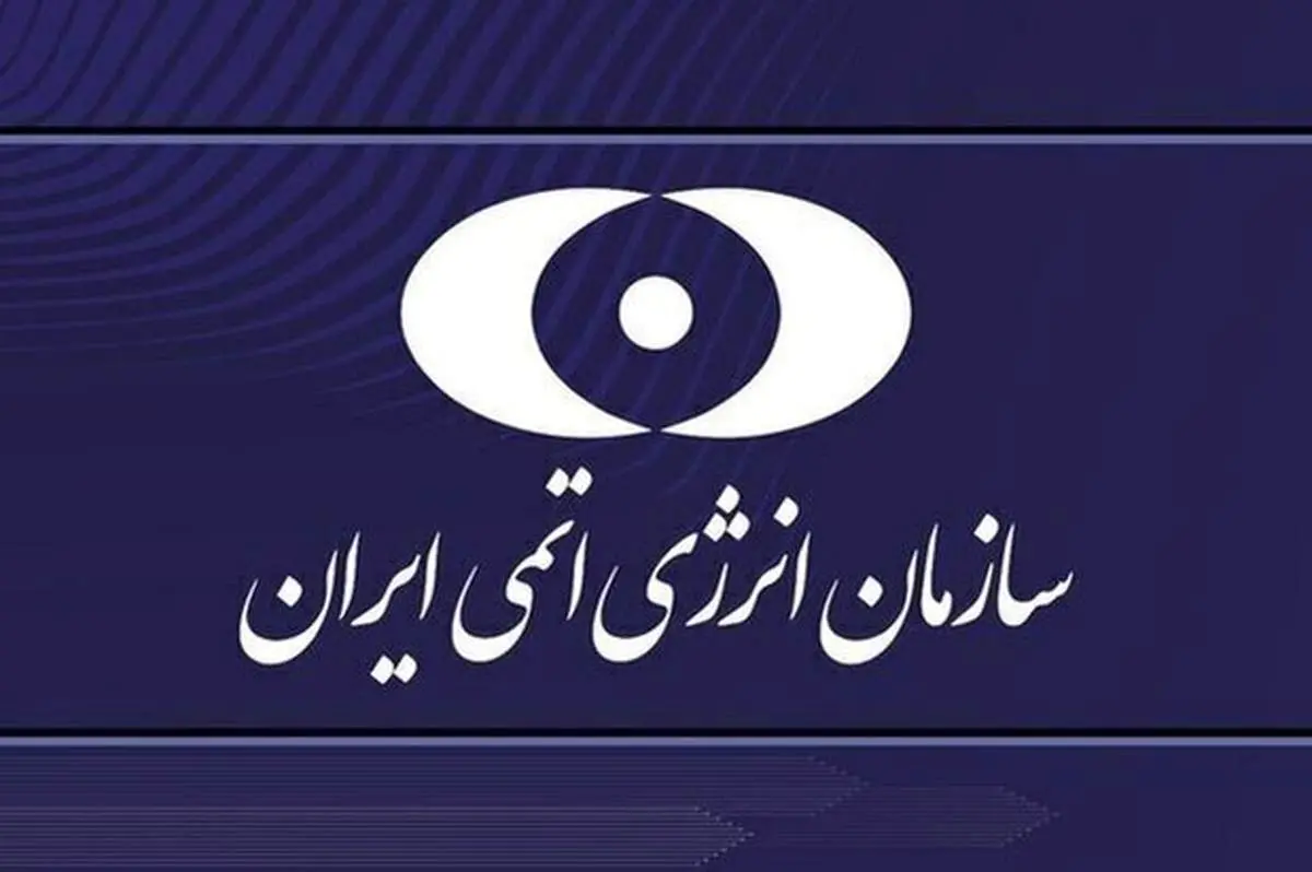سازمان انرژی اتمی: برخی داخلی ها آب به آسیاب دشمن می ریزند