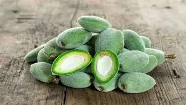 فواید چغاله بادام برای سلامتی بدن