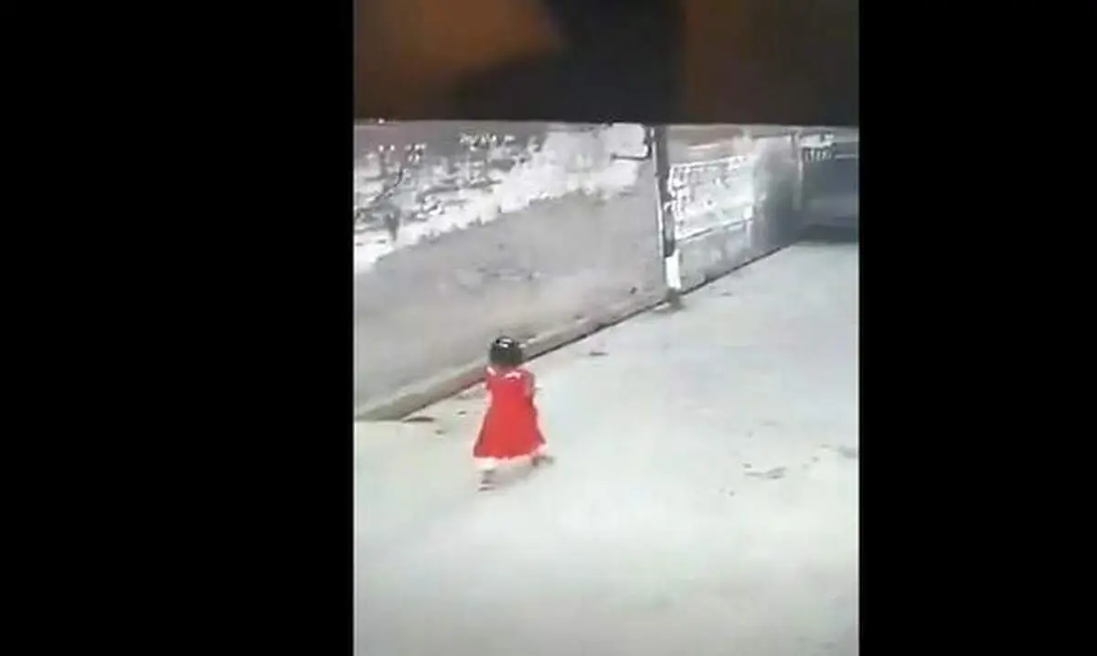 حمله وحشتناک سگهای ولگرد به دختر بچه+ فیلم