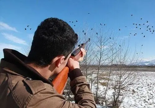 کشف پرنده باستانی در سنگ نگاره عهد ساسانی + تصاویر