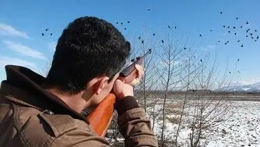 دستگیری فردی که به جای کبک، دوستش را شکار کرد