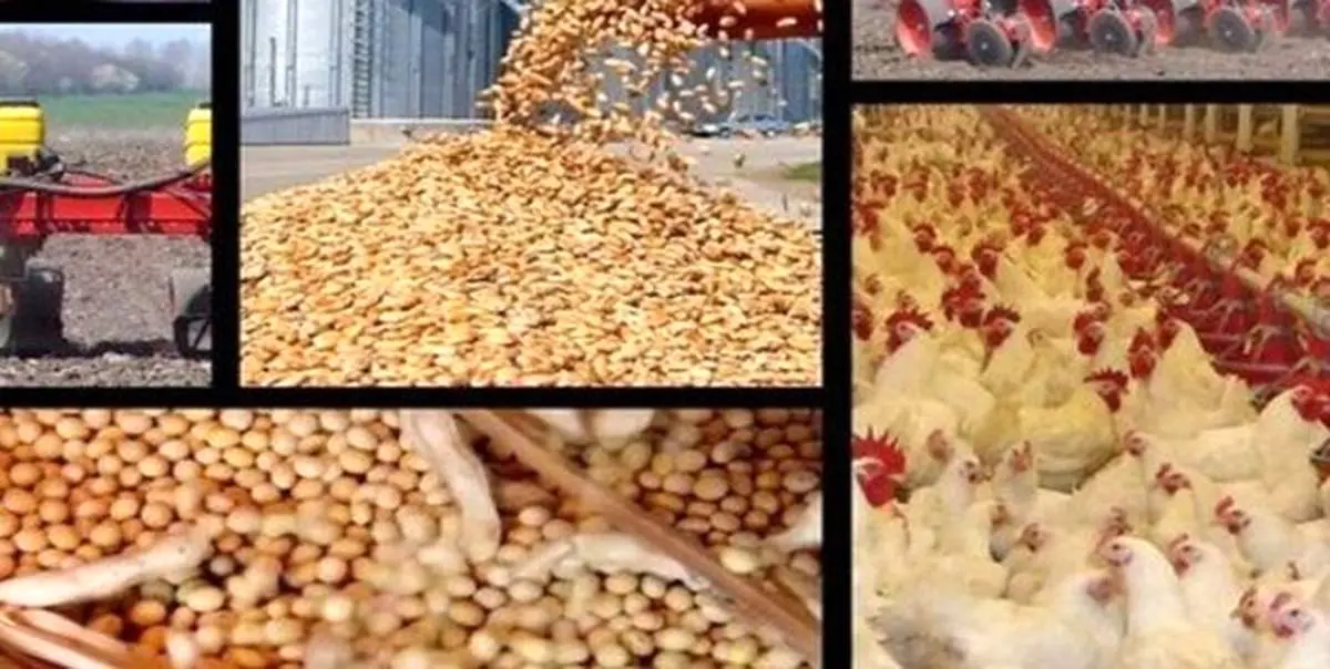 قیمت نهاده‌های وارداتی برای ثبت سفارش اعلام شد+عکس