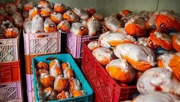 کشف ۳۵۰۰ کیلو مرغ احتکار شده در تهرانسر