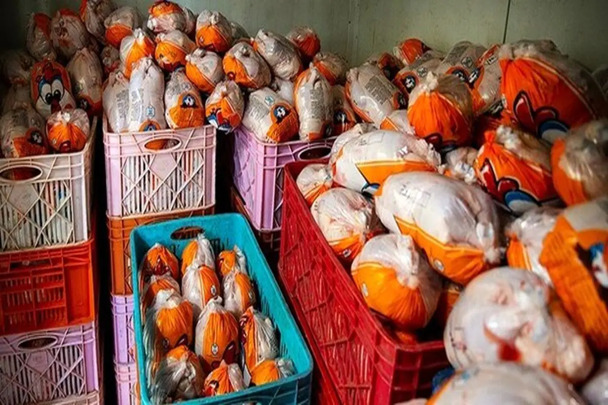 کشف ۳۵۰۰ کیلو مرغ احتکار شده در تهرانسر