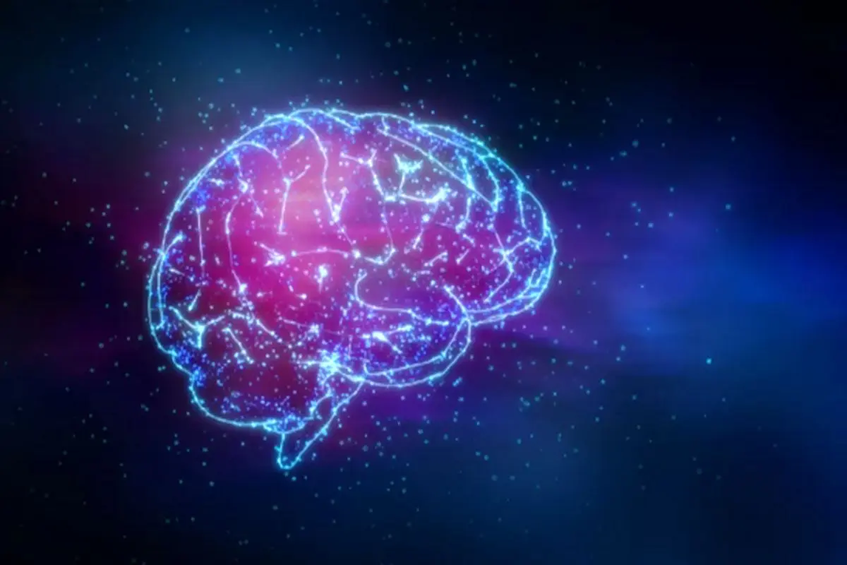 آیا مغز ما می‌تواند به ما در کشف جهان کمک کند؟