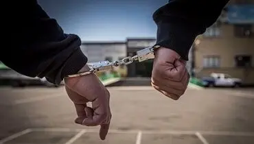 کلاهبرداری۲۲میلیارد ریالی سایت جعلی «صبا تأمین» / متهم دستگیر شد