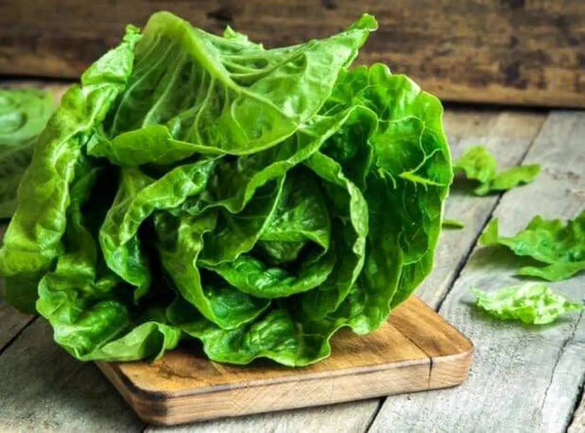 فواید جادویی کاهو برای بیماران دیابتی