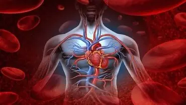 ۱۰ علامت پایین بودن سطح اکسیژن در مبتلایان به کرونا