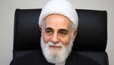شایعه سکته حجت الاسلام ناطق نوری تکذیب شد