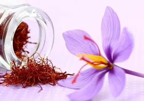 فرصت‌های از دست‌رفته در صادرات زعفران؛ ایران و سهم اندک از بازار جهانی