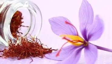 صادرات ۱۹۰ میلیون دلاری زعفران در سال ۹۹