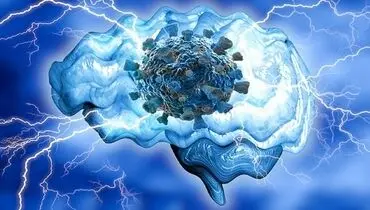 ویروس کرونا قشر خاکستری مغز را تغییر می‌دهد