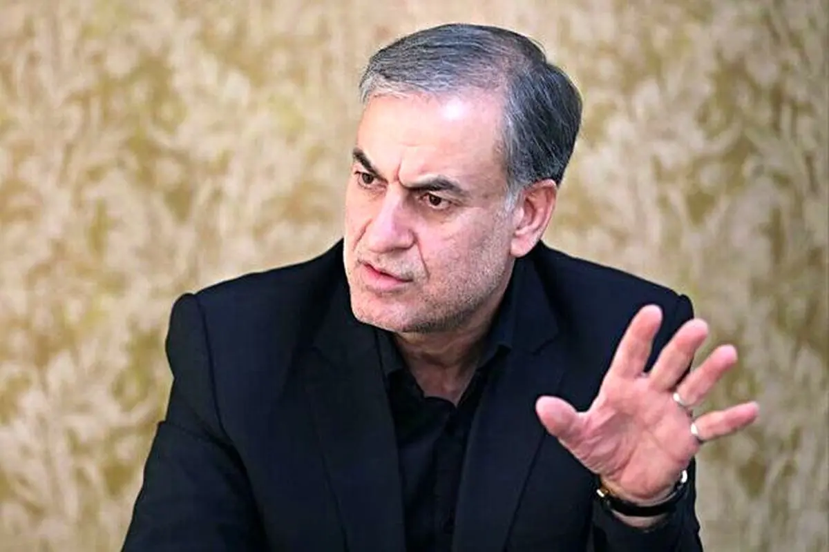 احمدی‌بیغش: ظریف در نشست کمیسیون امنیت از اظهاراتش پشیمان نبود