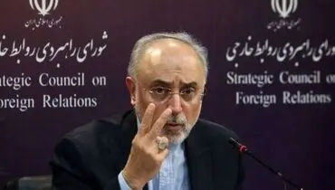 علی اکبر صالحی حضورش در انتخابات را تایید کرد