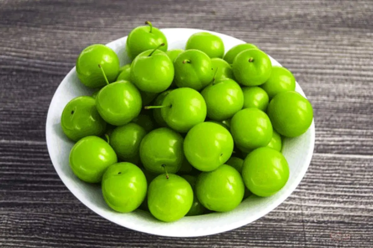 چه کسانی نباید گوجه سبز بخورند؟