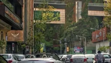 بازار خودرو در دست دلالان/نوسان قیمت شدن گرفت