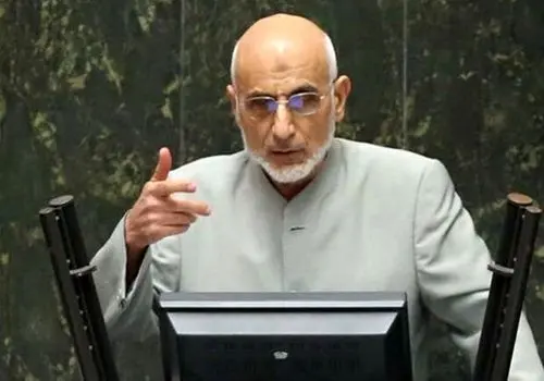 نماینده مجلس: میرسلیم مشاعرش را از دست داده است!
