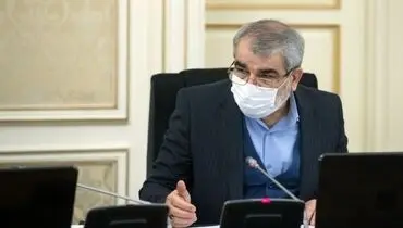 کدخدایی: داوطلبان قبل از اعلام نتایج صلاحیت‌ها، حق تبلیغات ندارند