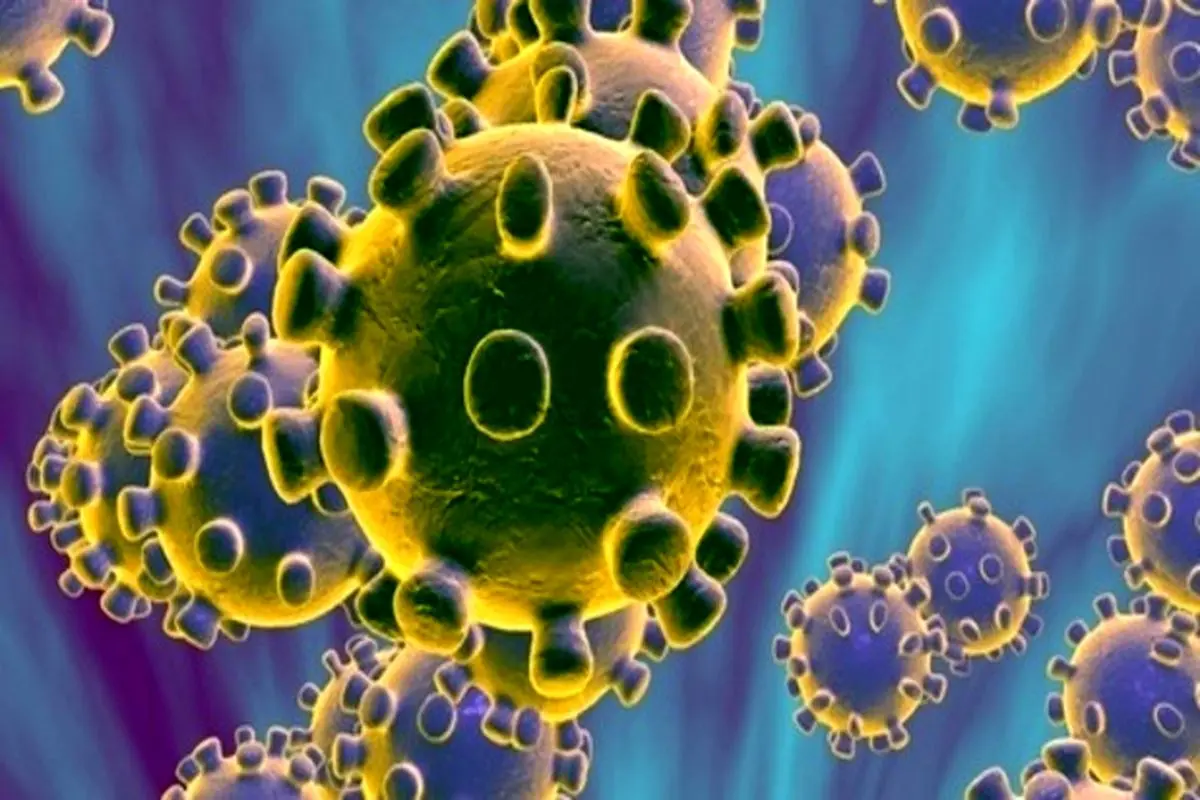 کشف نوع جدیدی از ویروس کرونا در مالزی