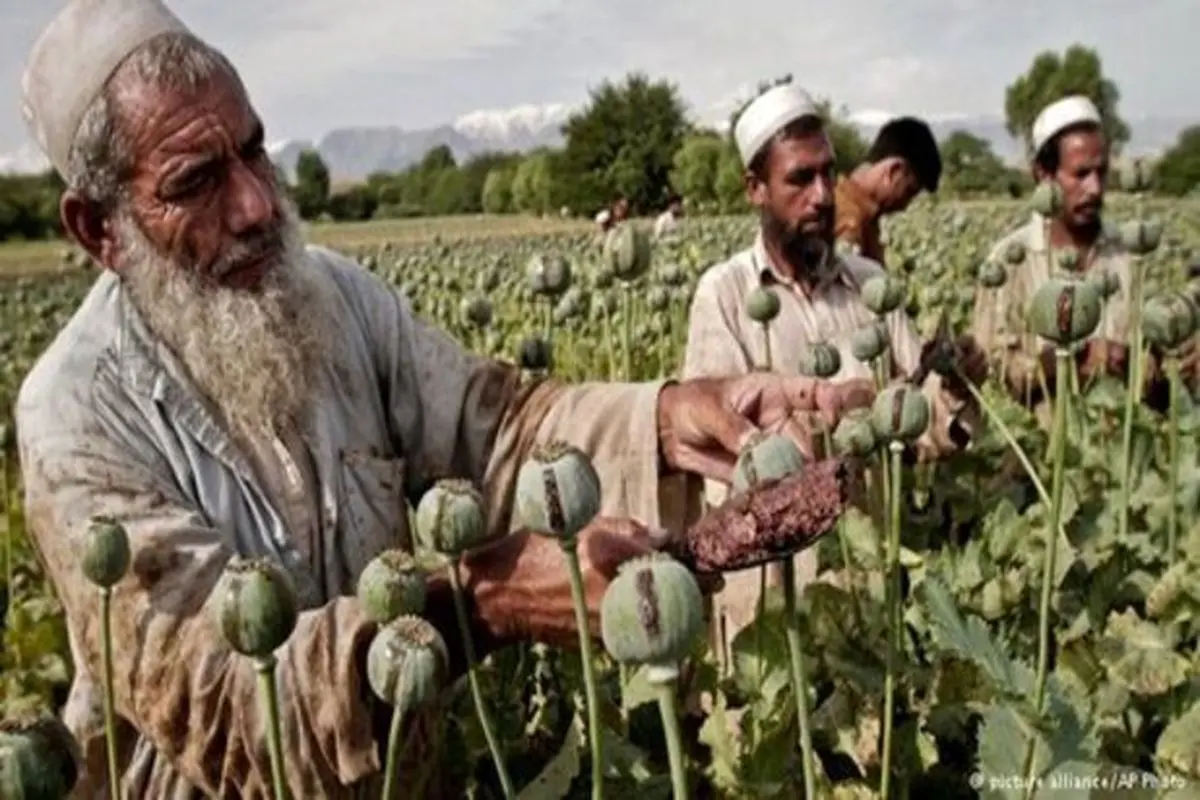 هشدار؛ افزایش قاچاق «شیشه» از افغانستان به ایران
