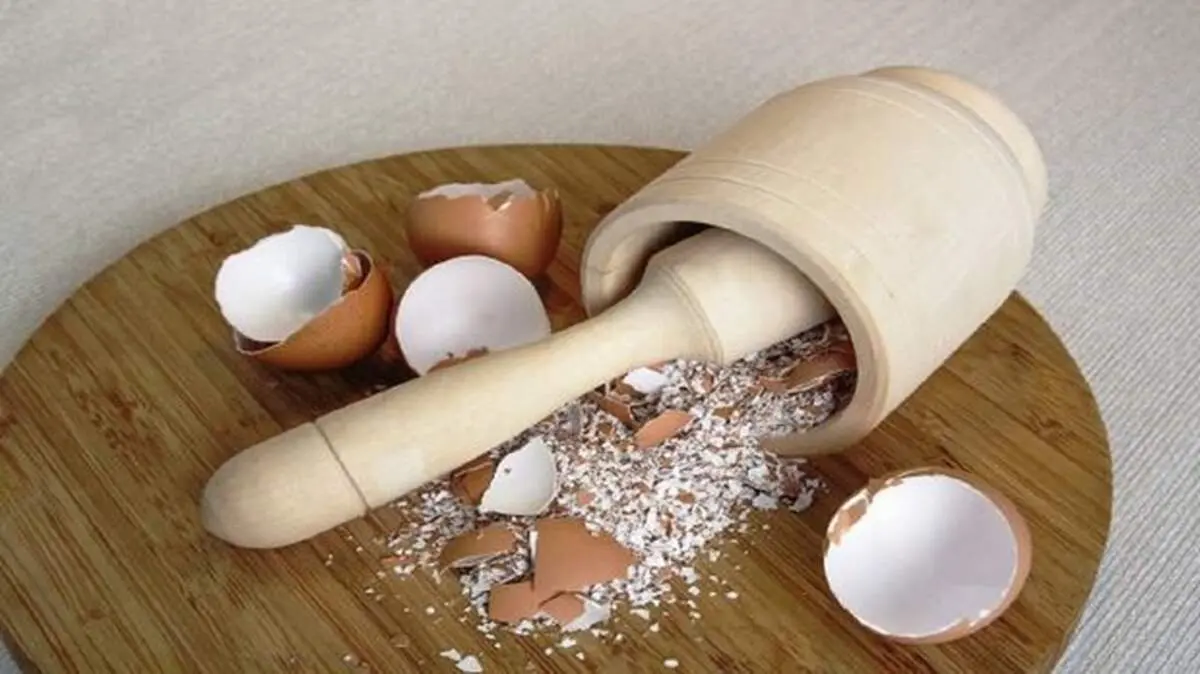 خواص پوست تخم مرغ برای مو و دندان ها