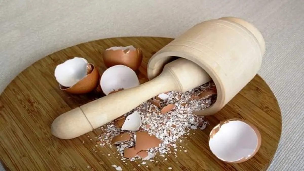 خواص پوست تخم مرغ برای مو و دندان ها