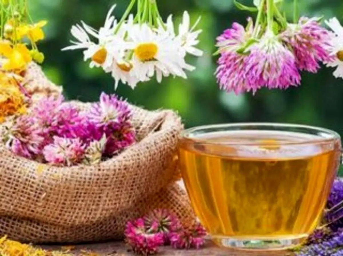 خوابی راحت با این دمنوشها