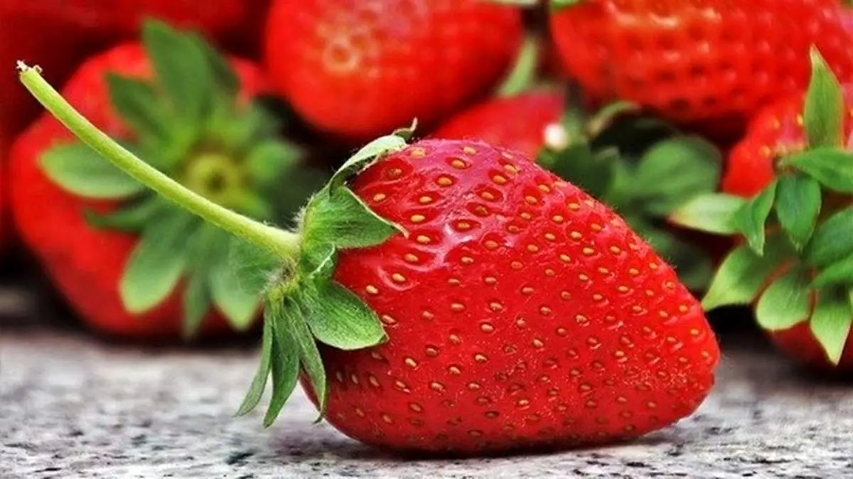 خواص بی نظیر توت فرنگی برای بدن