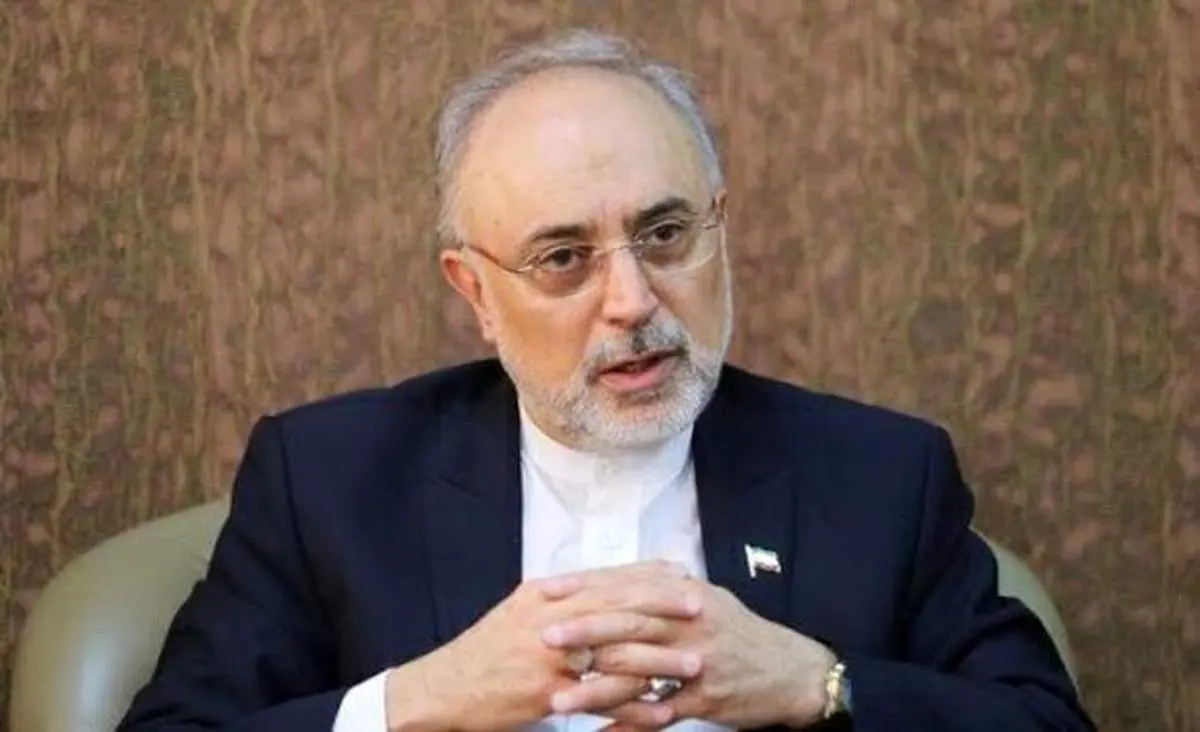 صالحی: مذاکرات وین خوب جلو میرود/ دست ایران بسیار پر است