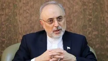 صالحی: مذاکرات وین خوب جلو می‌رود/ دست ایران بسیار پر است