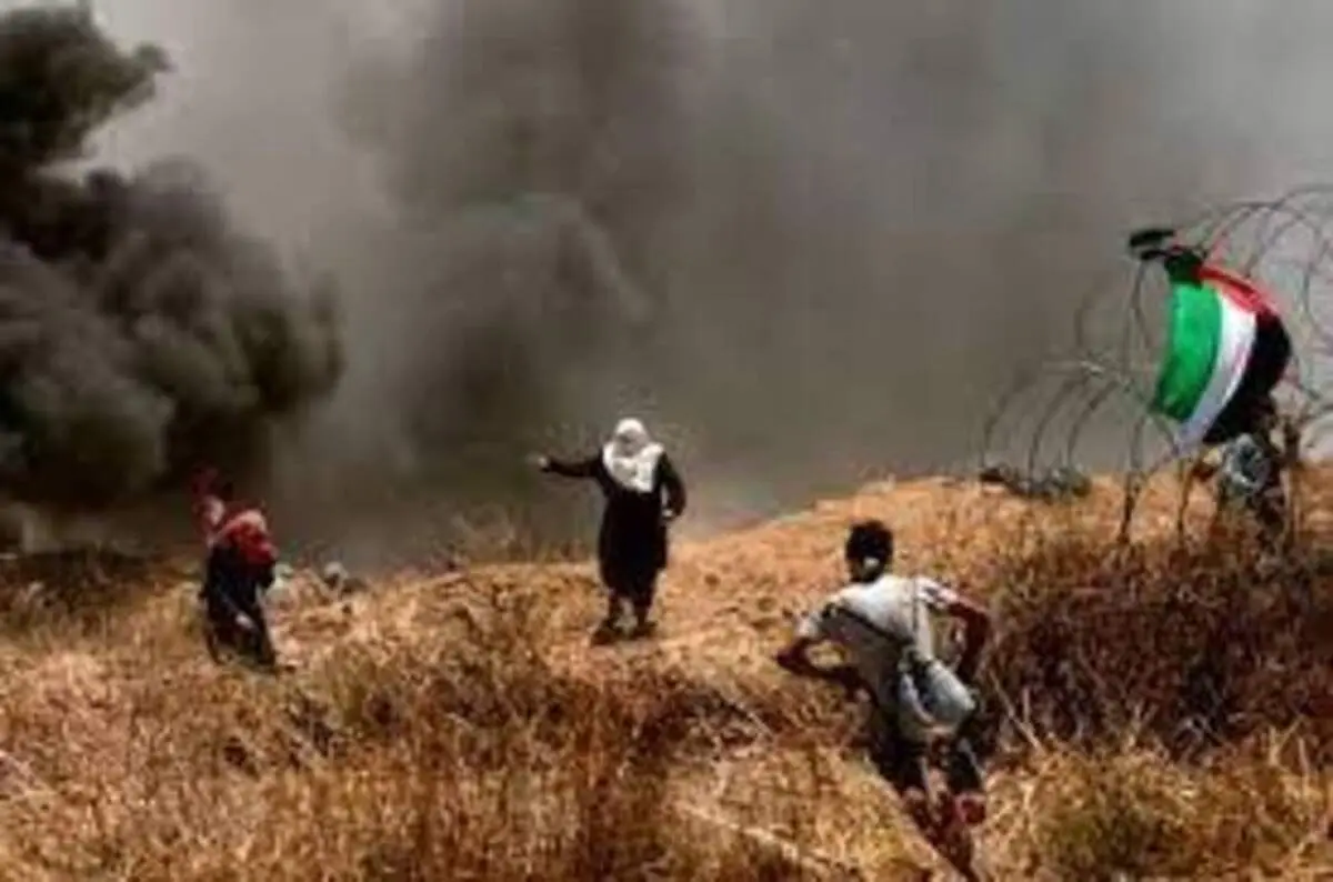 فرشته" غزه پر کشید+عکس