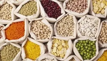 حبوبات ارزان شد/ مصرف برنج کاهش یافت
