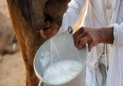 صبحونه فردا: هشدار؛ صبحانه شیرین، انرژی شما را می‌دزدد!