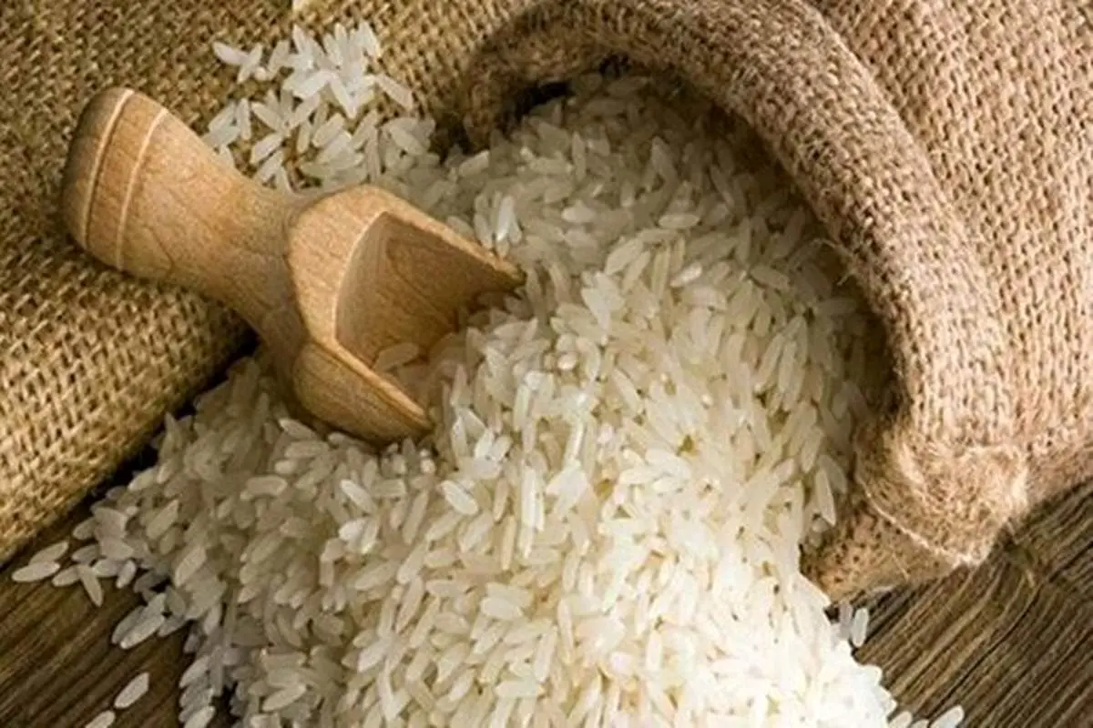 درخواست کاهش یا حذف دوره ممنوعیت واردات برنج / برنج خارجی تقاضا ندارد