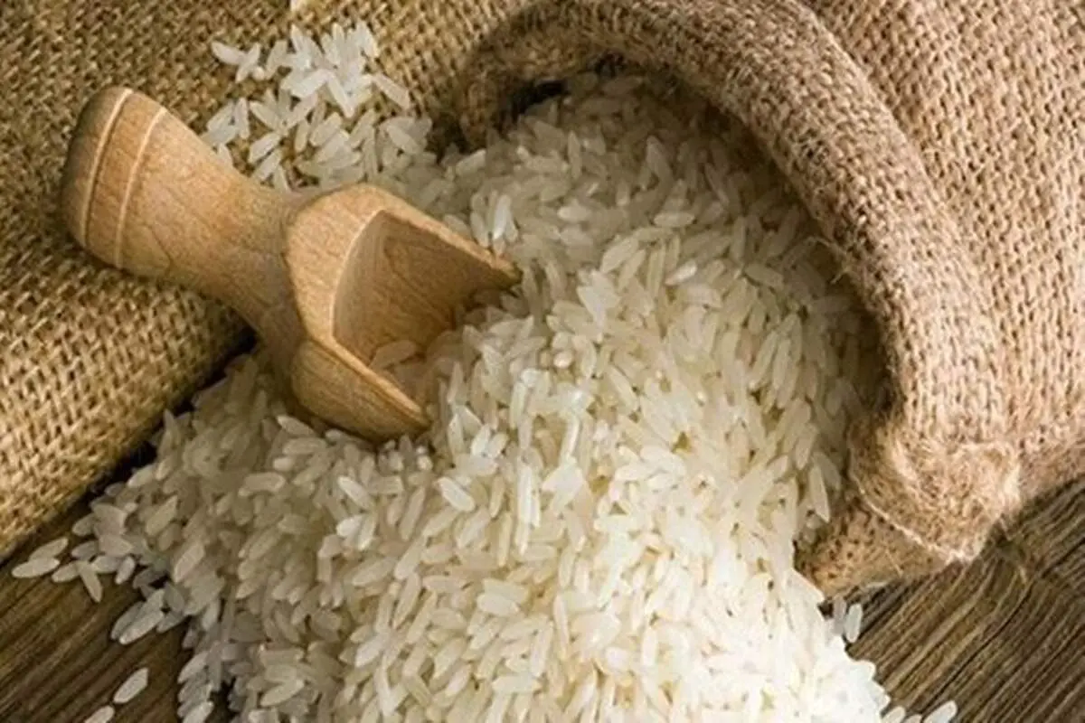 درخواست کاهش یا حذف دوره ممنوعیت واردات برنج / برنج خارجی تقاضا ندارد
